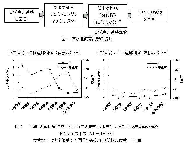 具体的データの画像1