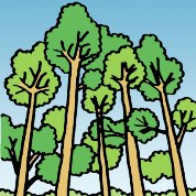 保安林の種類と役割の画像