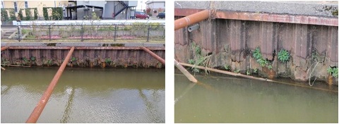 本所排水路(栗ノ木川合流部付近)の画像