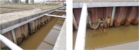 丸山排水路の画像1