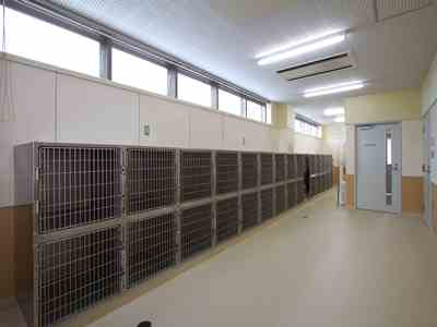 猫観察室の画像