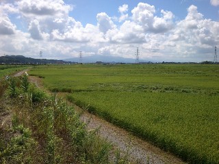 水田地帯(相馬地区)の画像