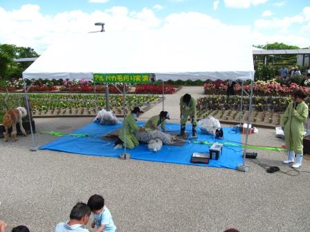 「きれいさっぱり」　中塚　敦　様の画像