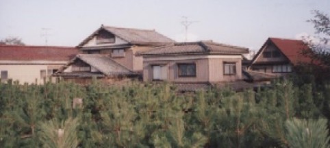 海岸林に守られる住宅