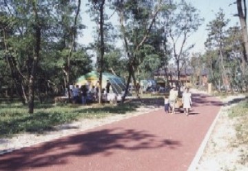 新潟市島見町の海辺の森