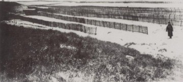 「すだて」の様子。現在でも用いられているの画像