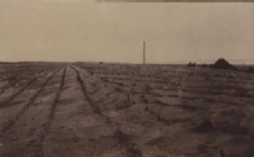 人工砂丘の様子