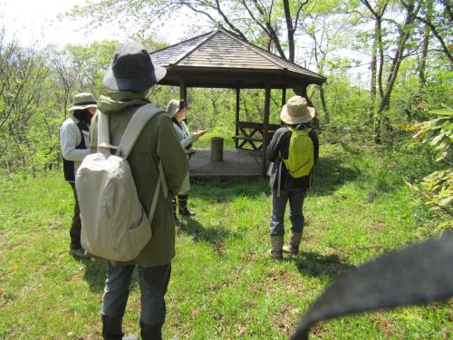 スポットセンサスの画像