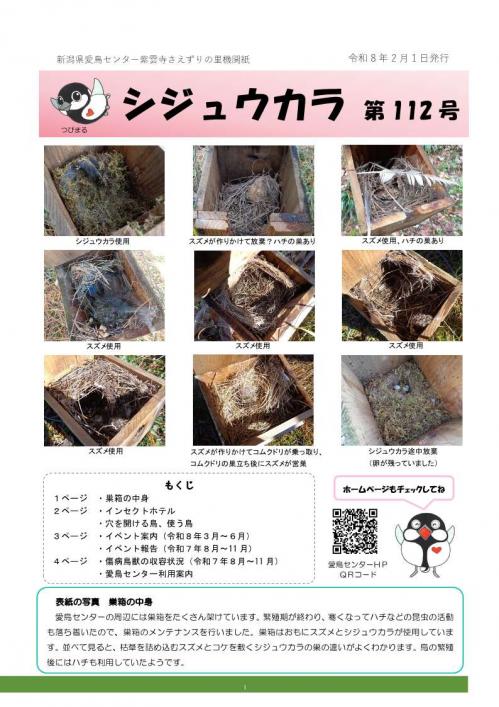 シジュウカラ表紙