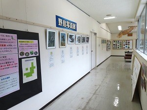 写真展の画像