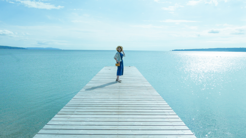 にいがた観光ナビの画像