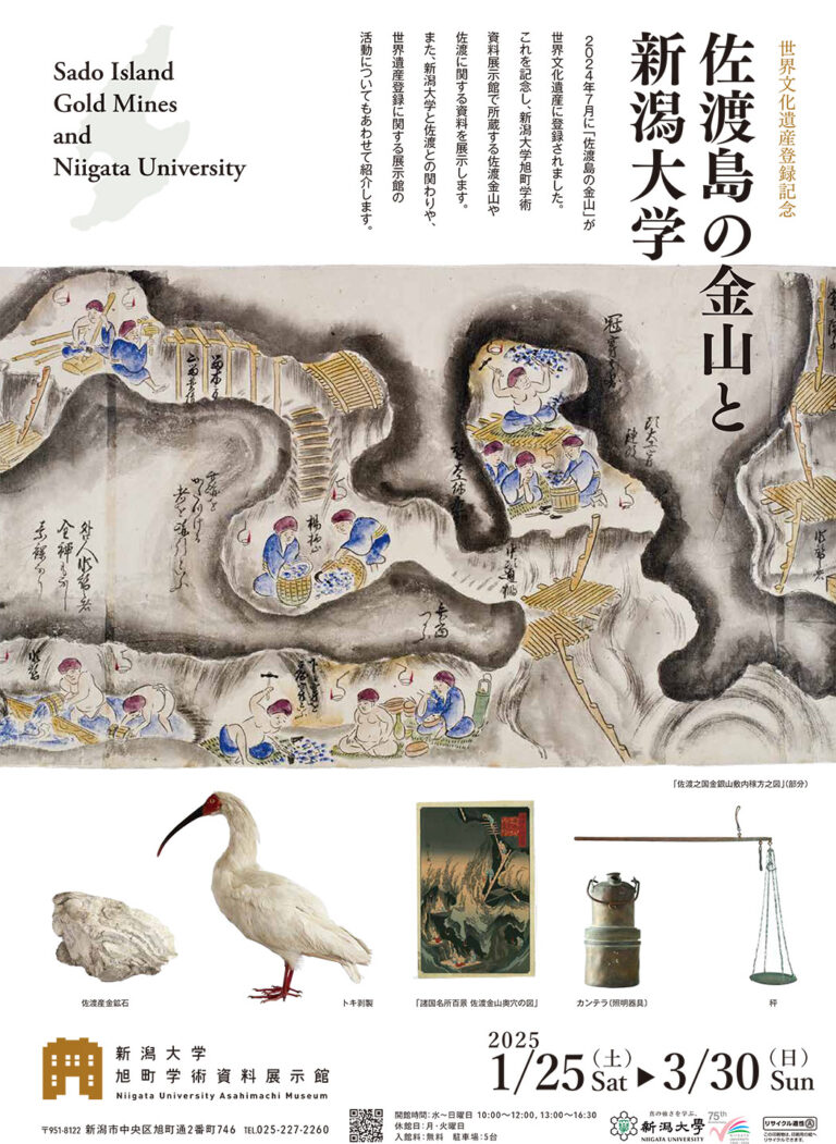世界文化遺産登録記念企画展「佐渡島の金山と新潟大学」のチラシ画像
