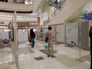 「知ろう！触れよう！佐渡金銀山」を開催しましたの画像1