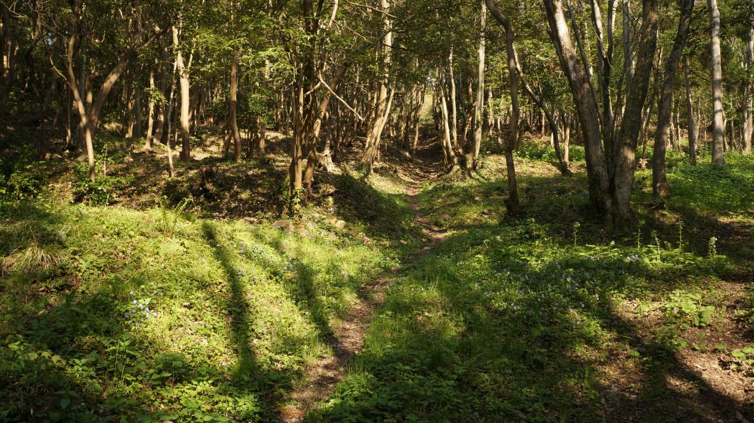 上相川地区の画像