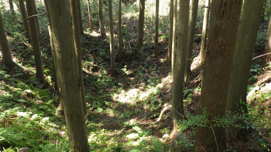 百枚平地区の露頭掘り跡の画像