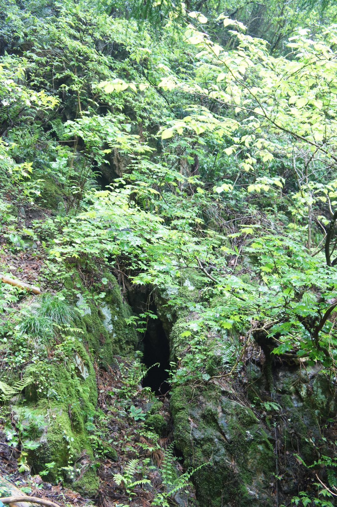 屏風沢地区のひ追い掘り跡の画像