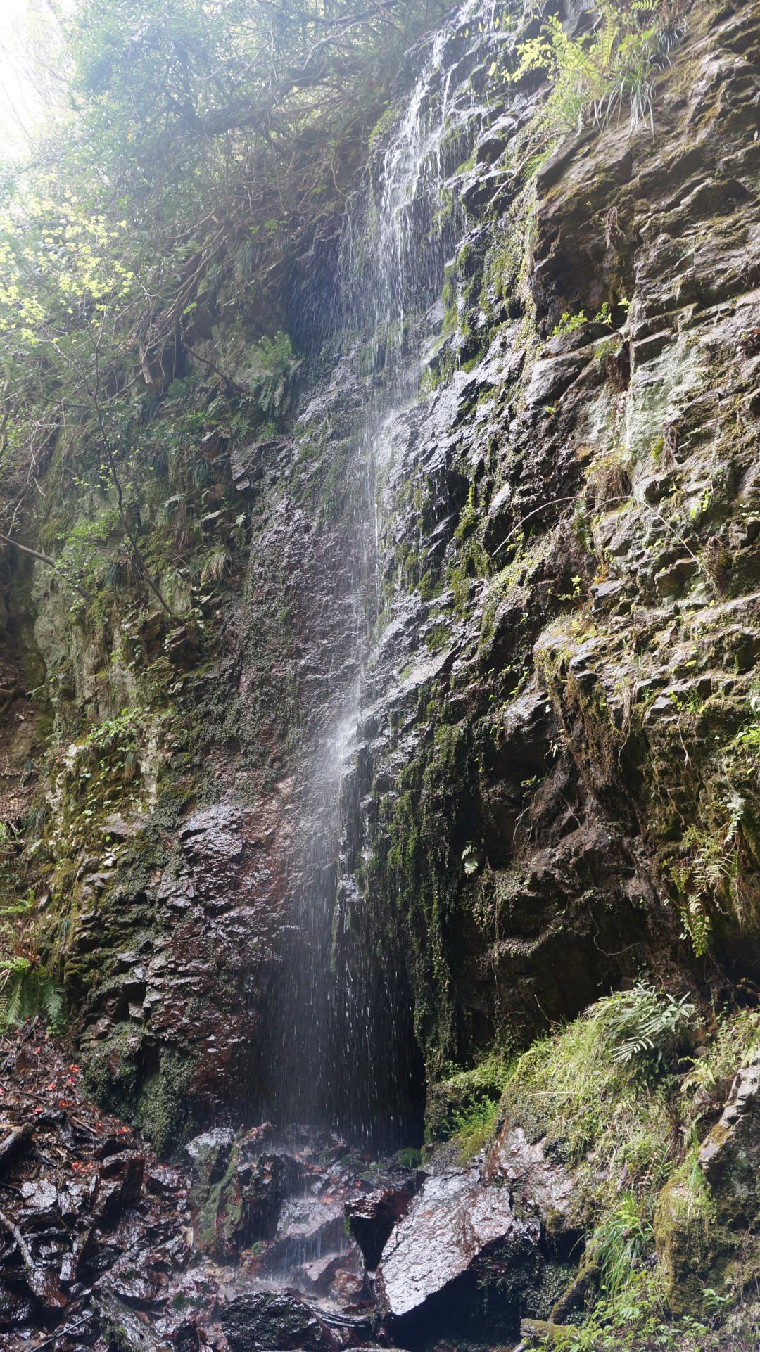 大滝地区の大滝間歩の画像