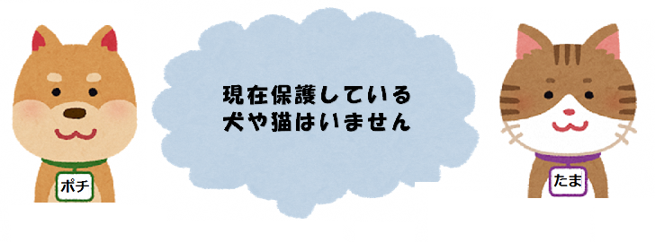 保護されている犬や猫はいません
