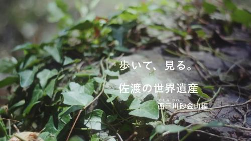 歩いて、見る。佐渡の世界遺産　西三川砂金山編　動画サムネイル画像