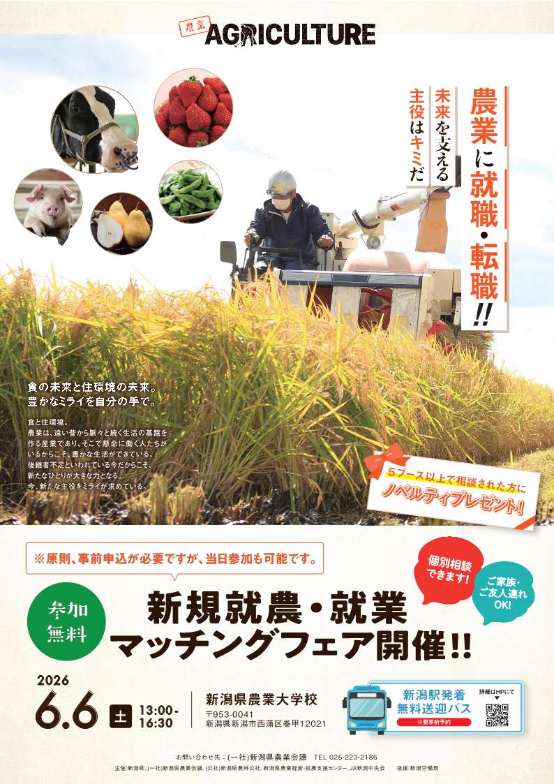 チラシ1