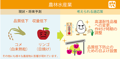 農林水産分野の適応策