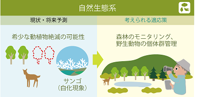 自然生態系分野の適応策