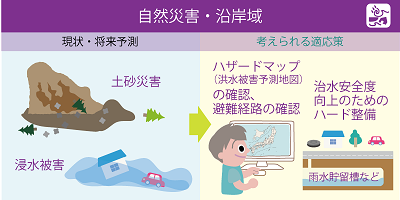 自然災害・沿岸域分野の適応策