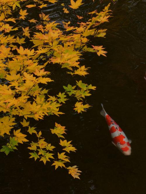 最優秀賞の写真