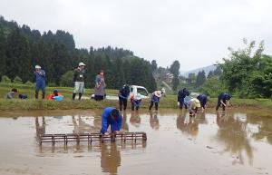 六角を使った植え付け場所の目印付け