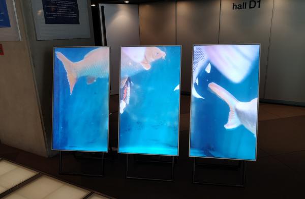 バーチャルウインドウ