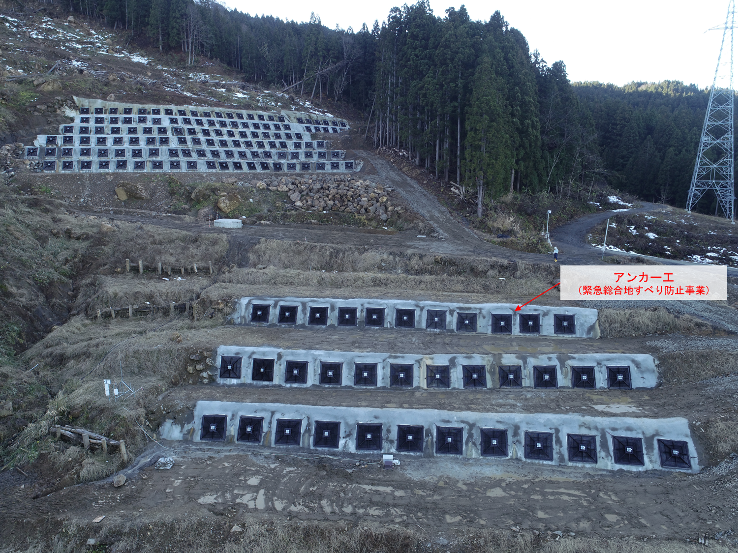 令和5年12月9日撮影