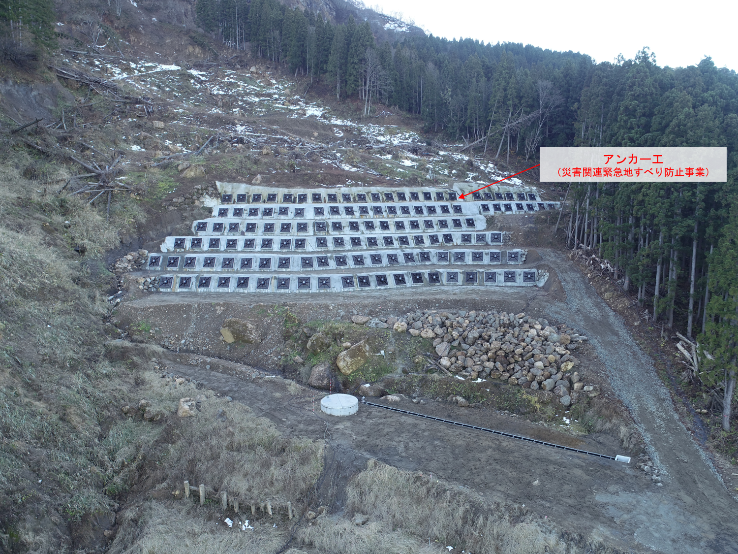 令和5年12月9日撮影