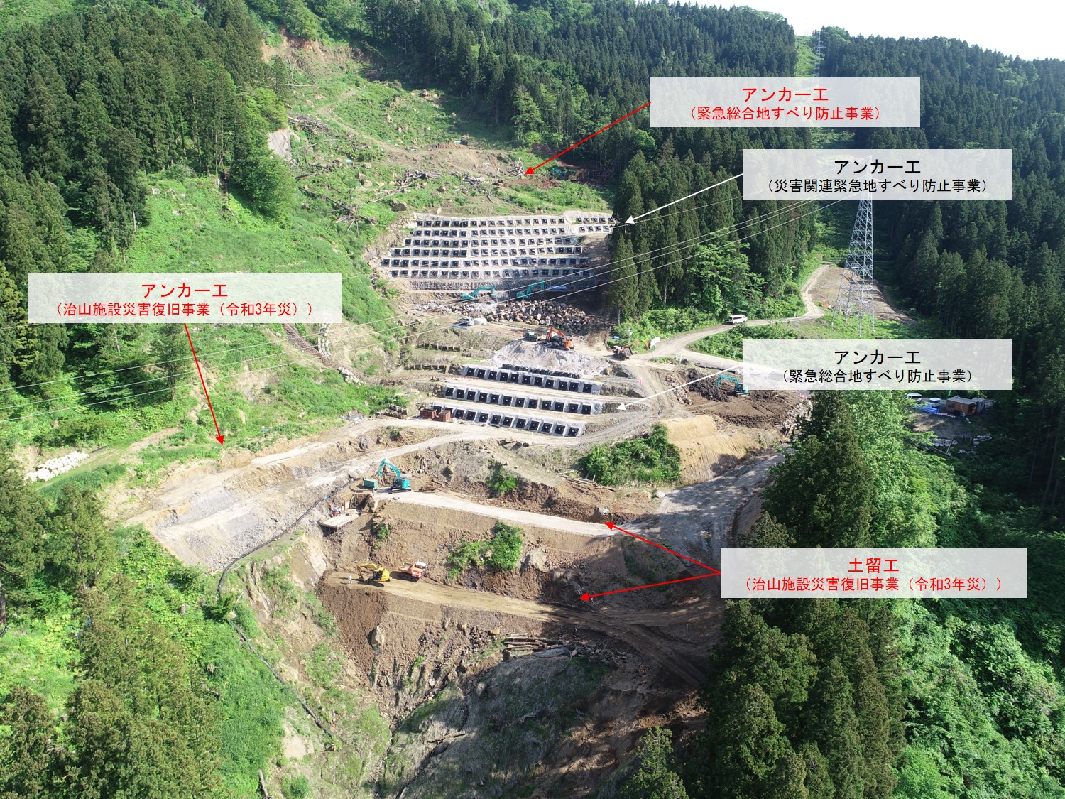 令和6年5月22日撮影