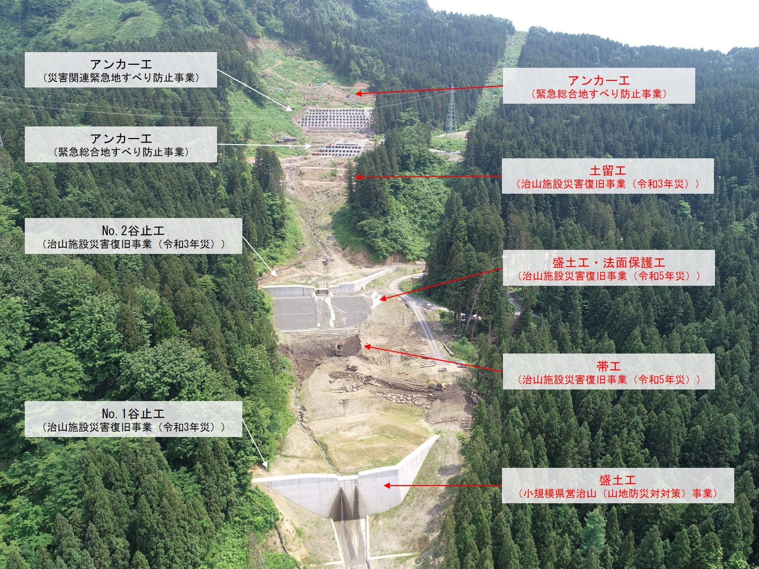 令和6年6月7日撮影