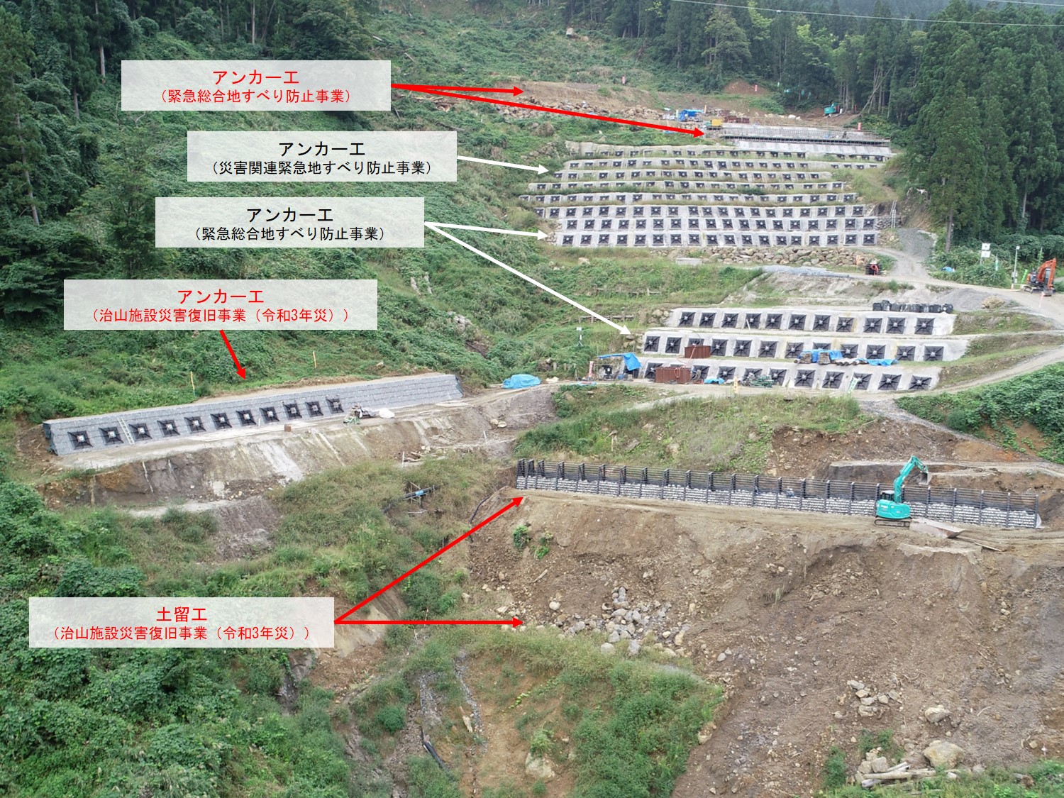 令和6年9月29日撮影