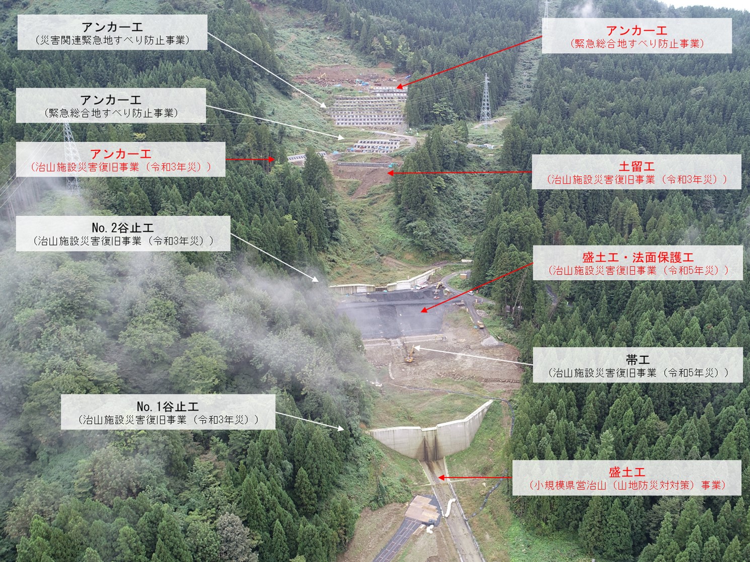 令和6年10月3日撮影