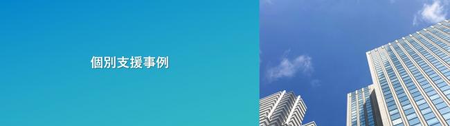 個別支援事例