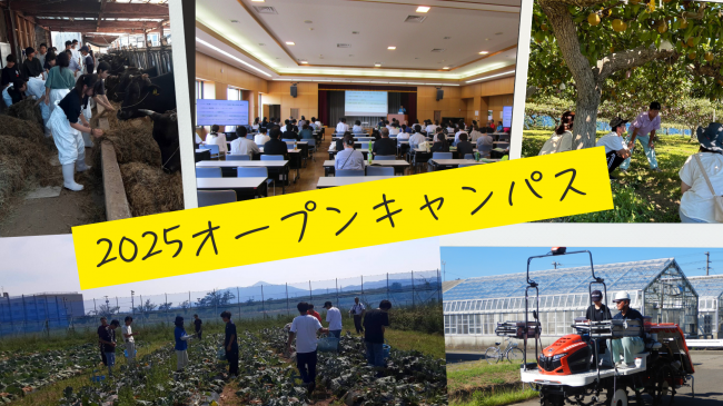 様々な農作業体験が満載