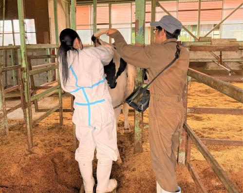 インターンシップ生2