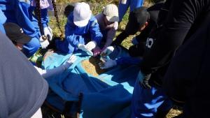 画像4　脱穀したもみと触れ合い