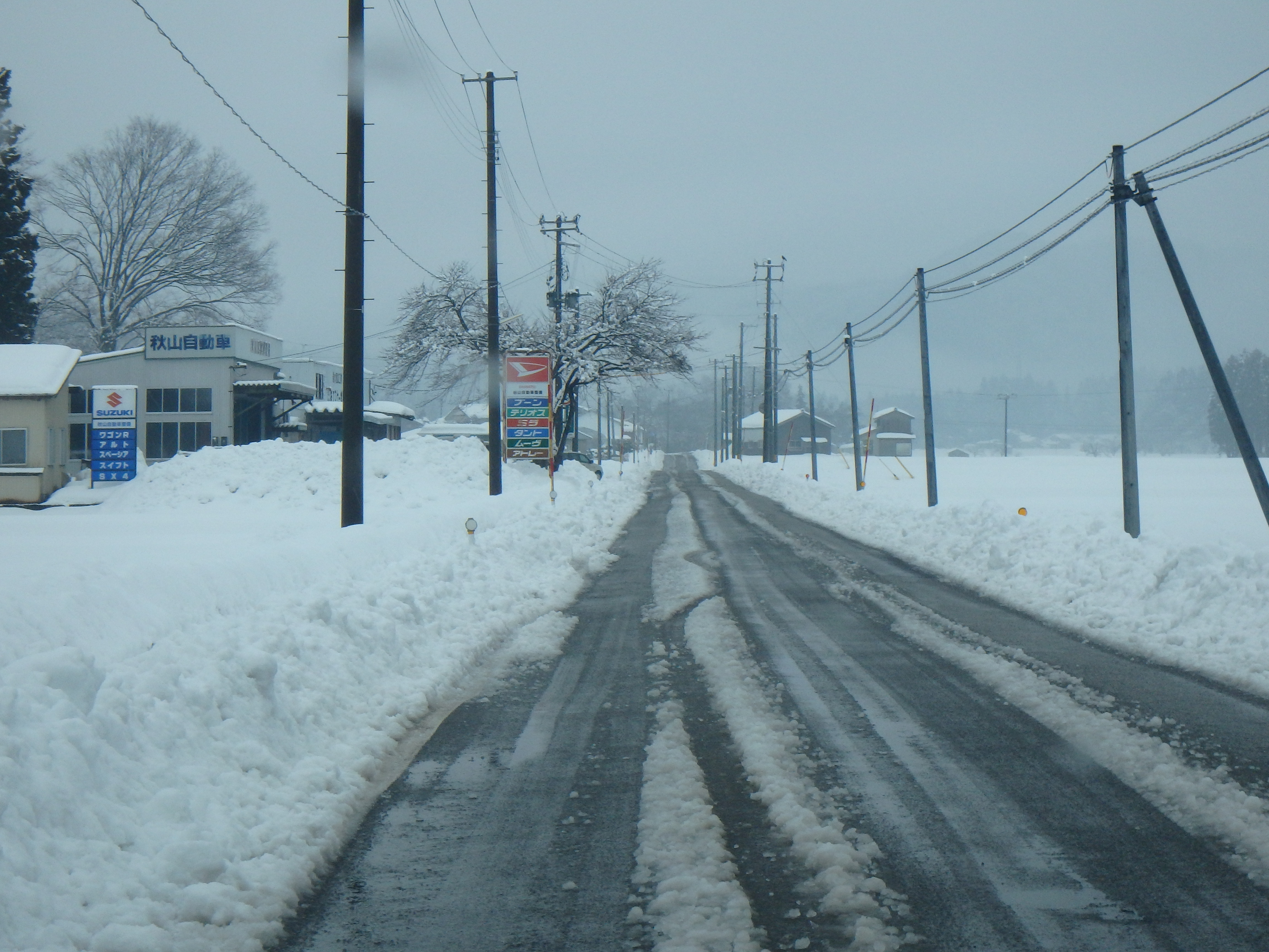 写真2　冬季間の様子