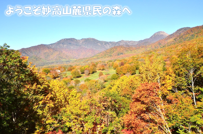 妙高山麓県民の森
