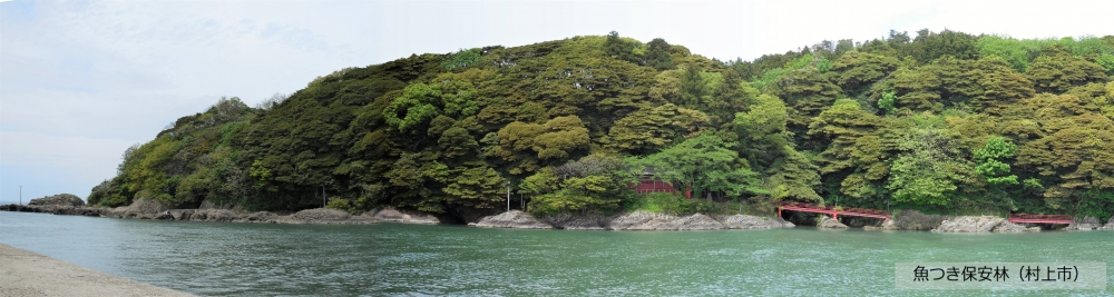 保安林制度画像