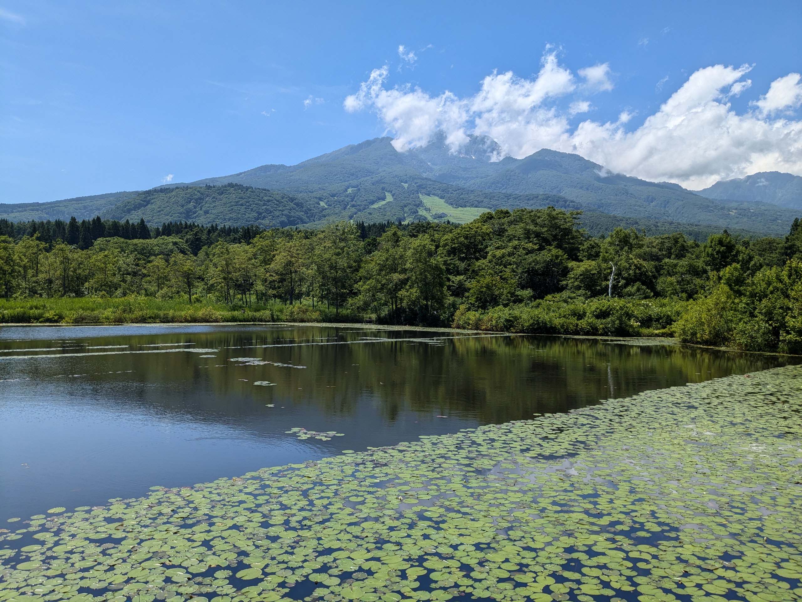 いもり池（妙高市）
