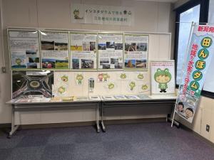 展示の様子