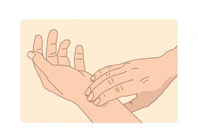 脈の測定の仕方