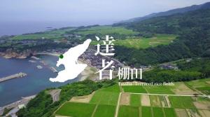 達者棚田