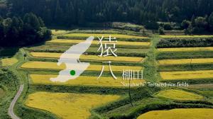 猿八棚田