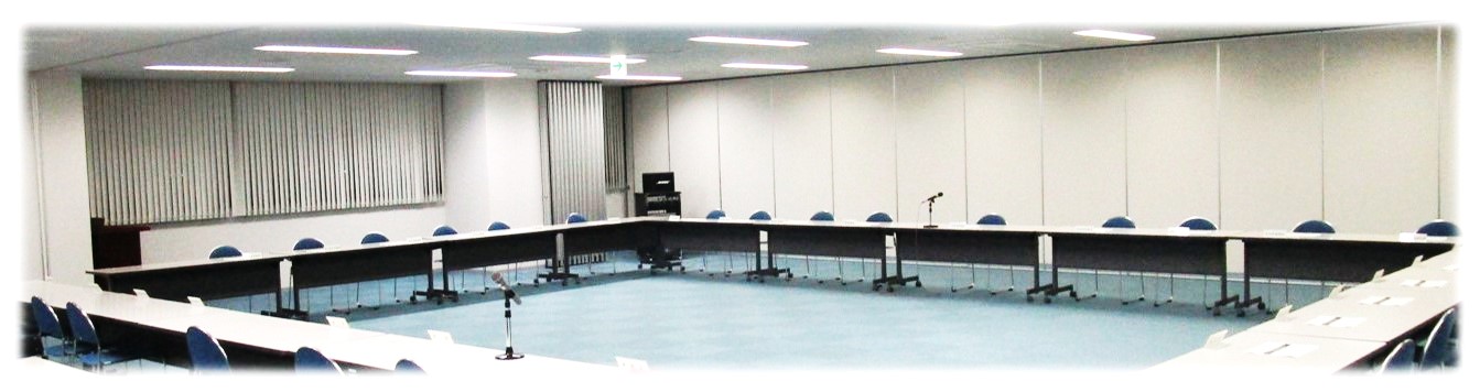 地域医療構想調整会議の開催イメージ