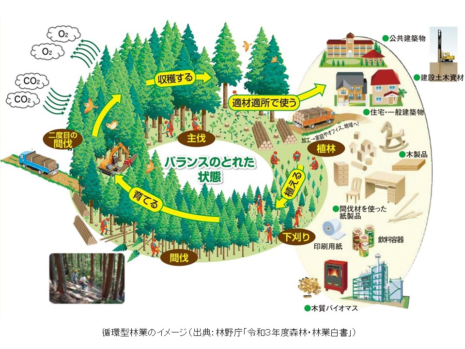 循環型林業のイメージ